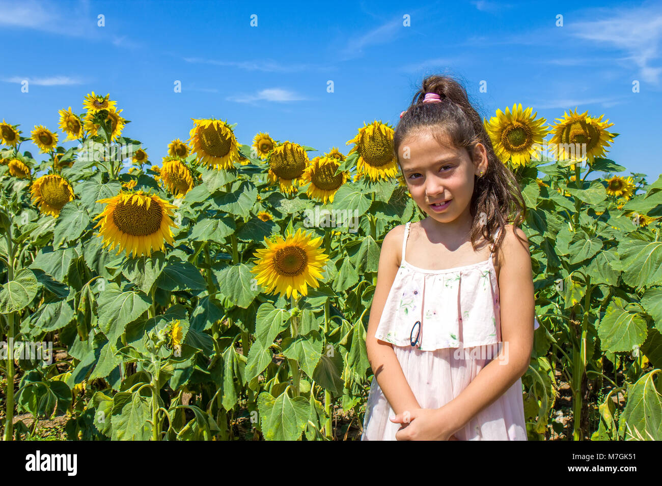 Girl in the sunflower field Stock Photo - Alamy