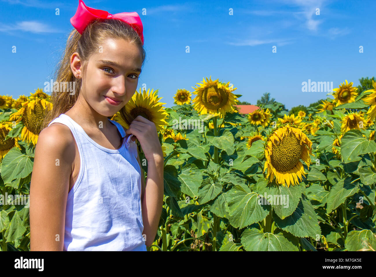 Girl in the sunflower field Stock Photo - Alamy