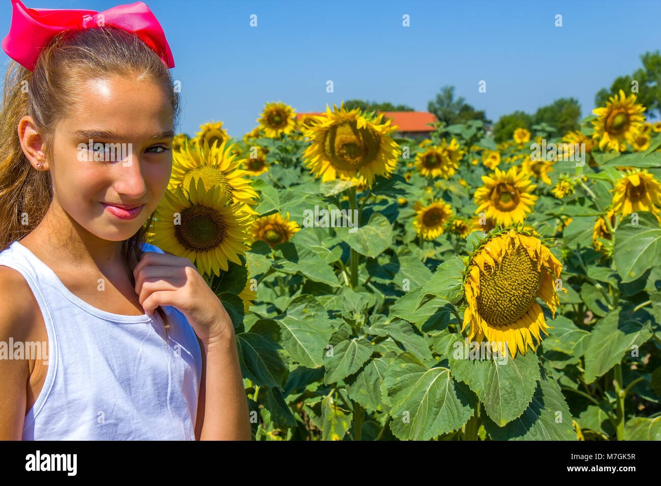Girl in the sunflower field Stock Photo - Alamy