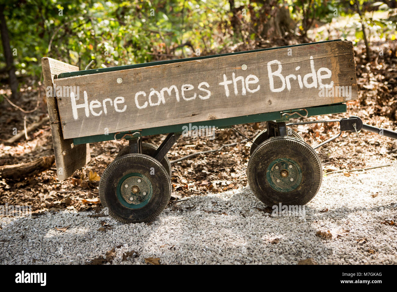 Small wooden hand carriage with white hand painted Here comes the Bride sign  on board. Funny wedding decoration idea Stock Photo - Alamy