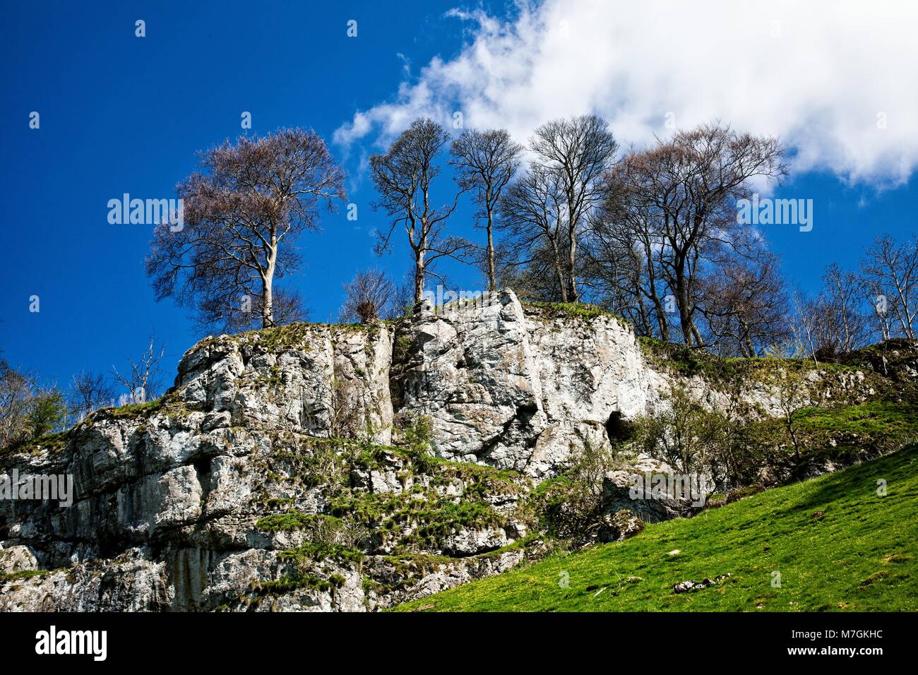 TREES SET AGAINST THE SKY SURMOUNTING A LIMESTONE SCARP IN THE PEAK DISTRICT NATIONAL PARK, ENGLAND Stock Photo