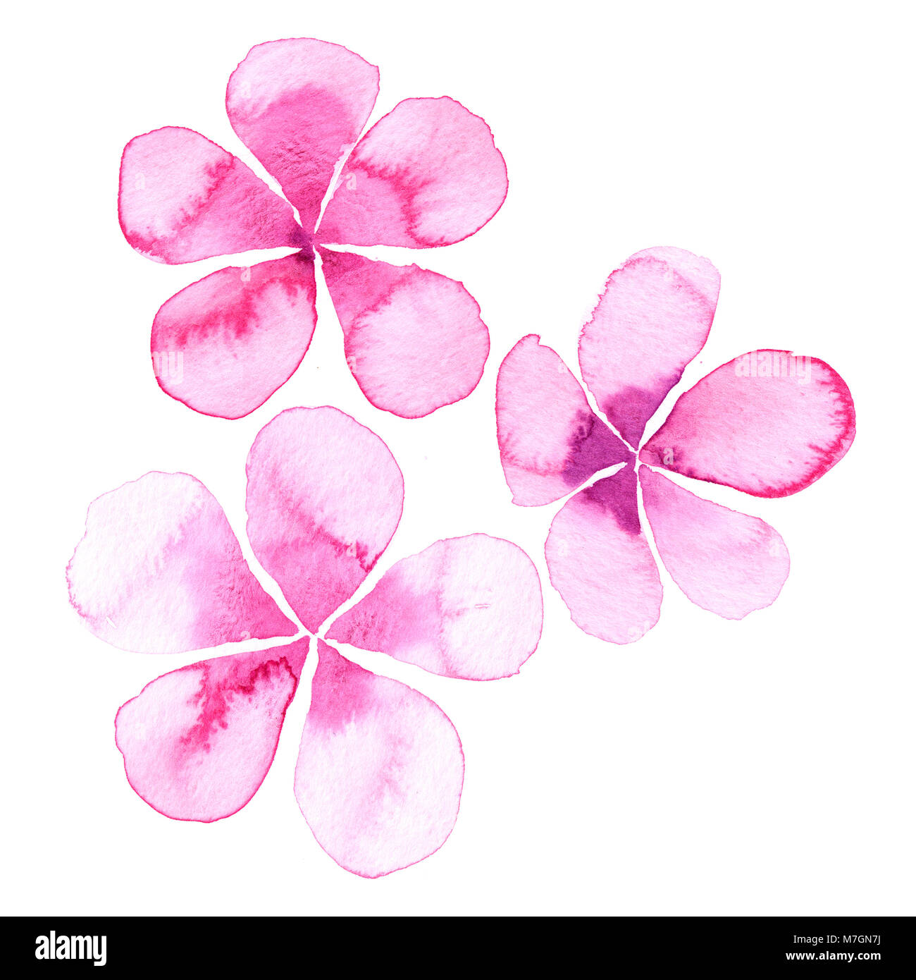 watercolor flower petals