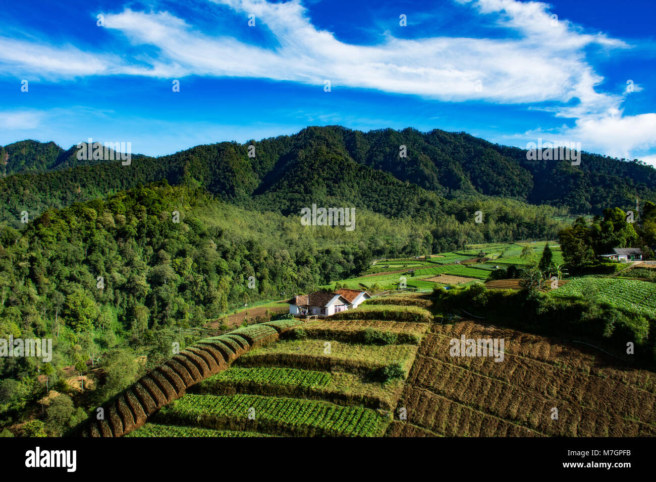 The beautiful green hill with small farm house at Batu, Indonesia. Stock Photo