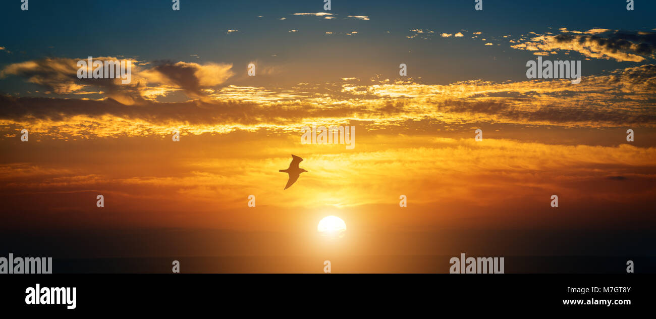 Panorama of sky at sunset or sunrise Stock Photo - Alamy
