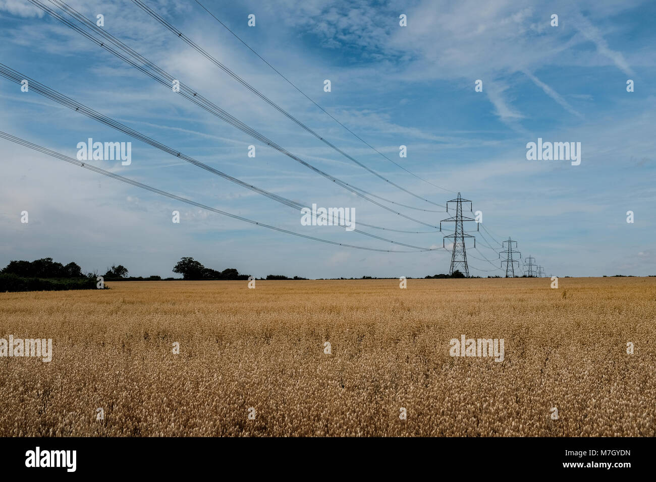 Electricity pylons marching across the countryside in Hertfordshire UK Stock Photo