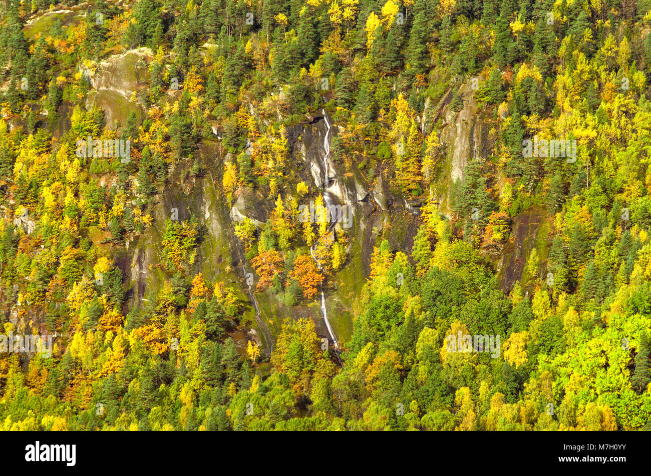 Seasonal waterfall in wild scenery of low mountain in Evje, central Norway. Stock Photo