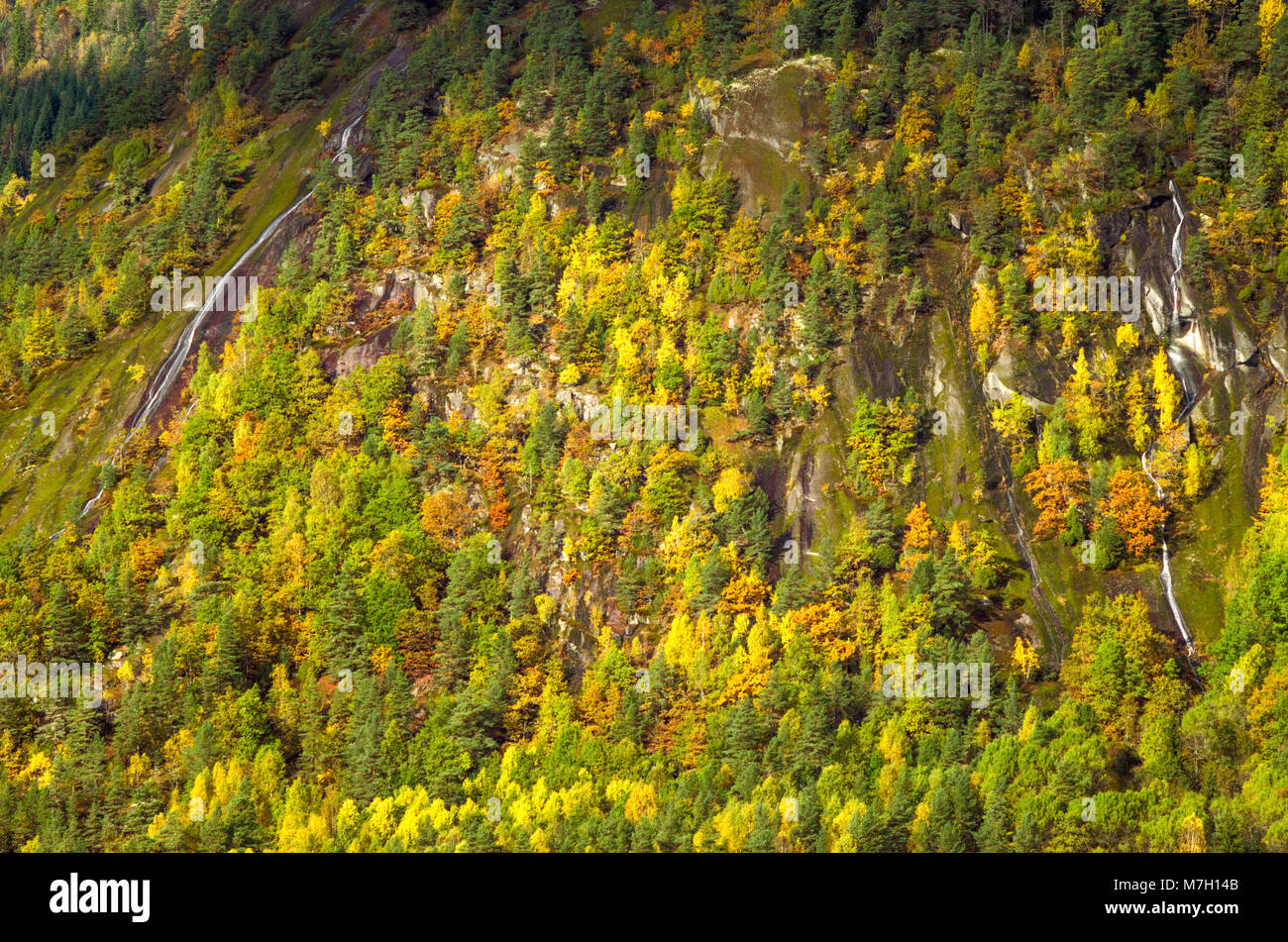 Seasonal waterfall in wild scenery of low mountain in Evje, central Norway. Stock Photo