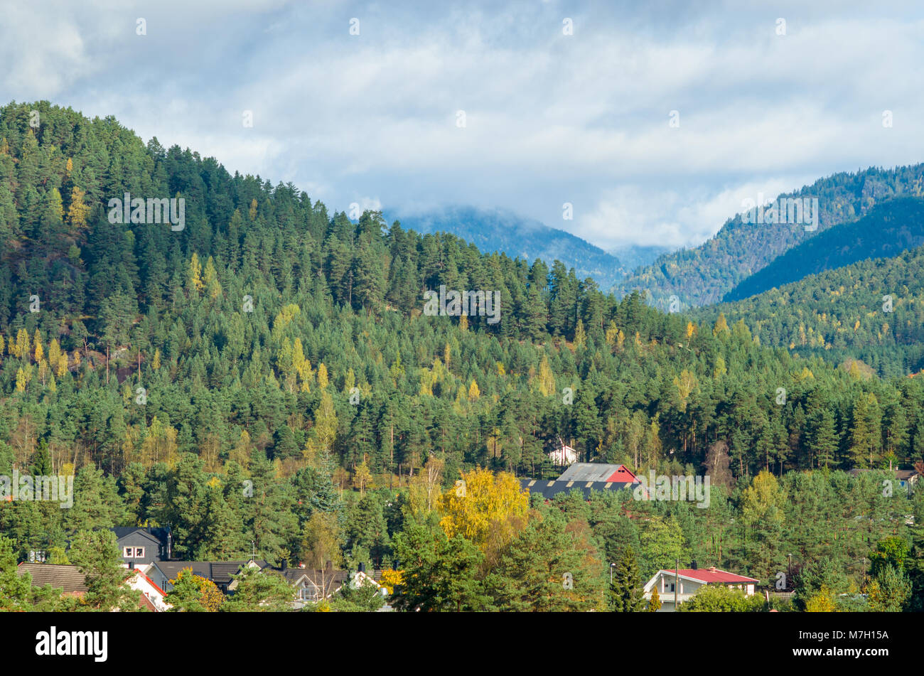 Landscape of central Norway midland with low mountains covered by forest. Evje, middle of Norway. Stock Photo