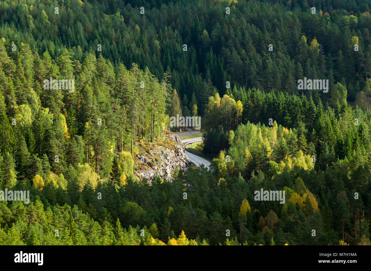 Fv42- local road leading from Evje to Oslo, Norway. Stock Photo