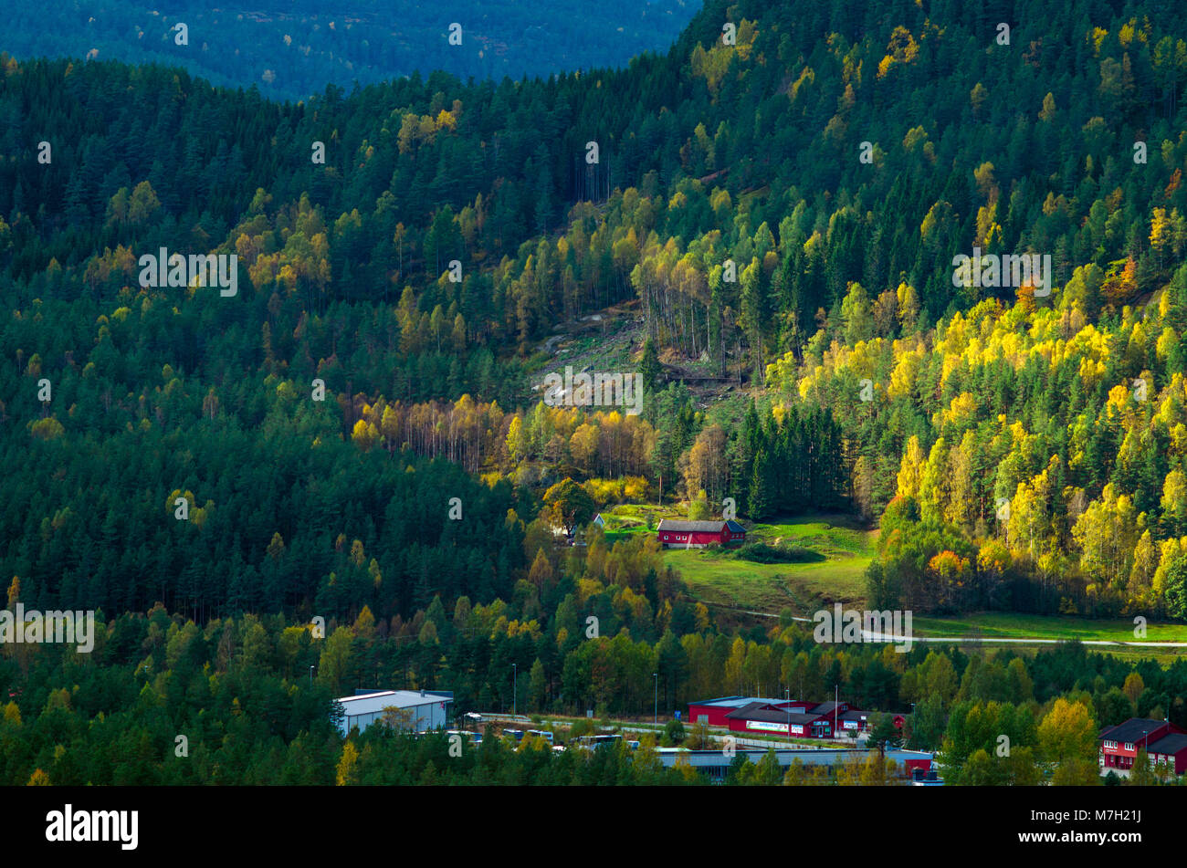 Norwegian traditional farmers buildings high in the mountains in forest. Stock Photo