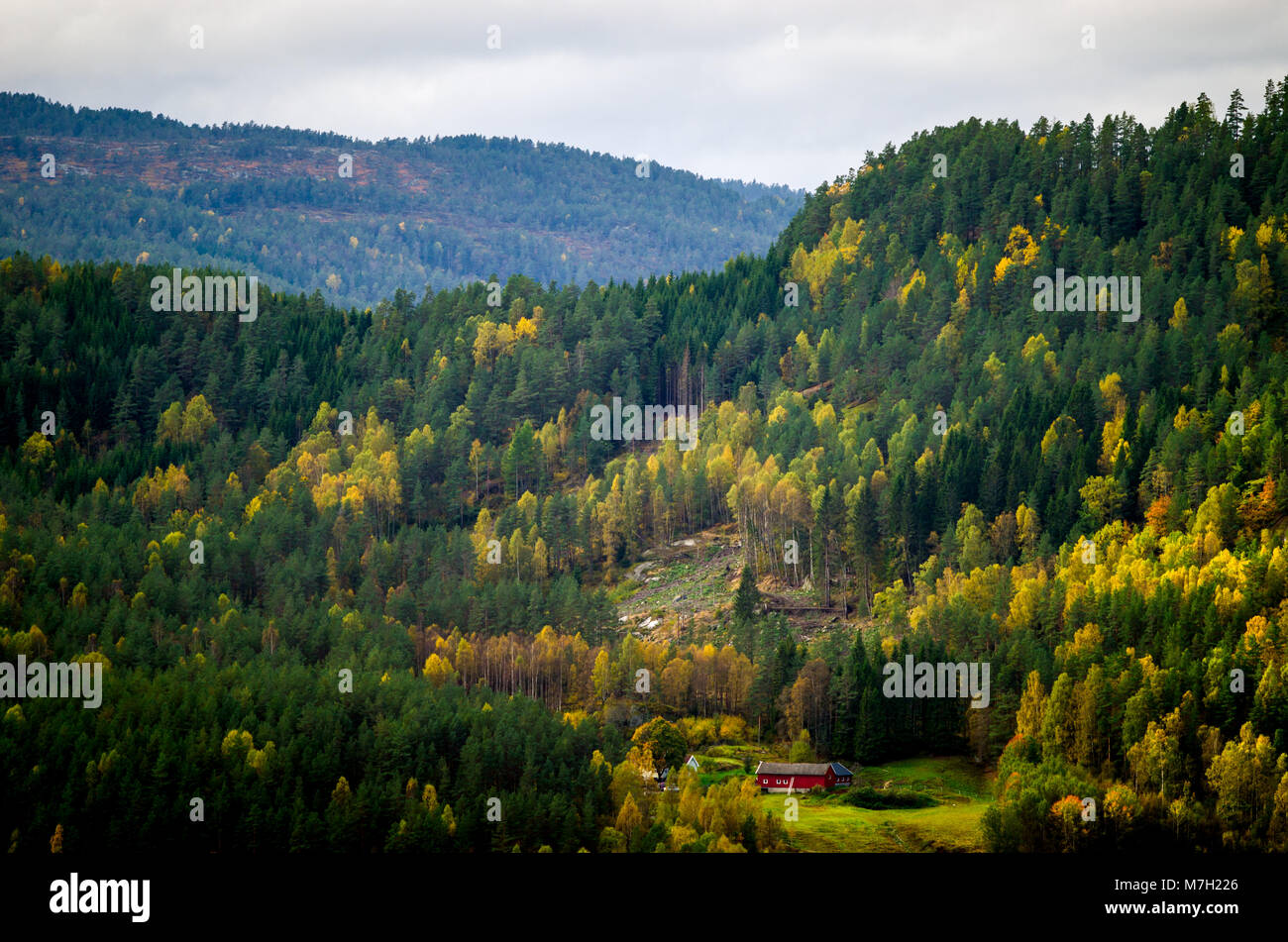 Norwegian traditional farmers buildings high in the mountains in forest. Stock Photo