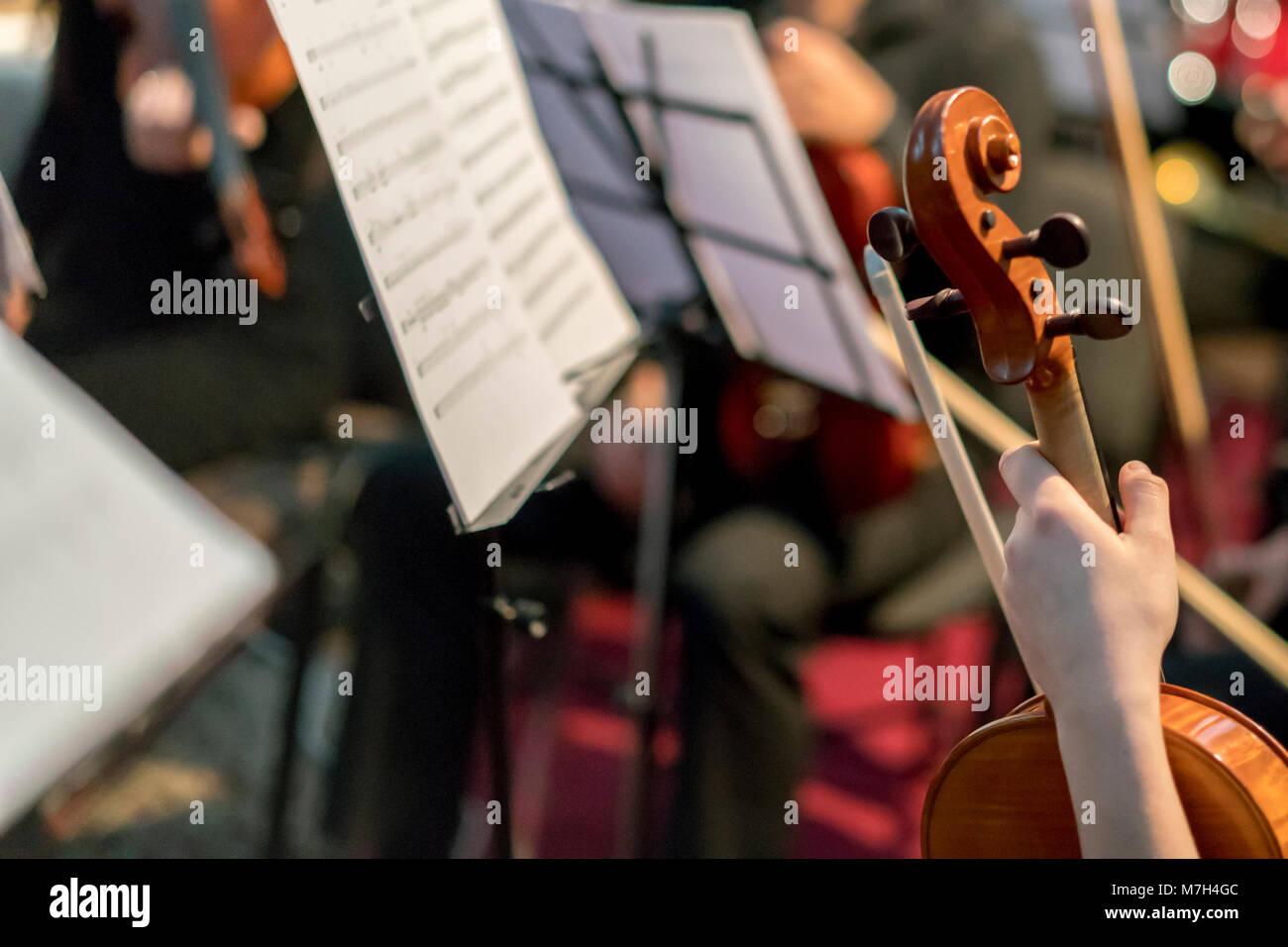 Hand on the strings of a violin. Symphony Orchestra in indoor. selected