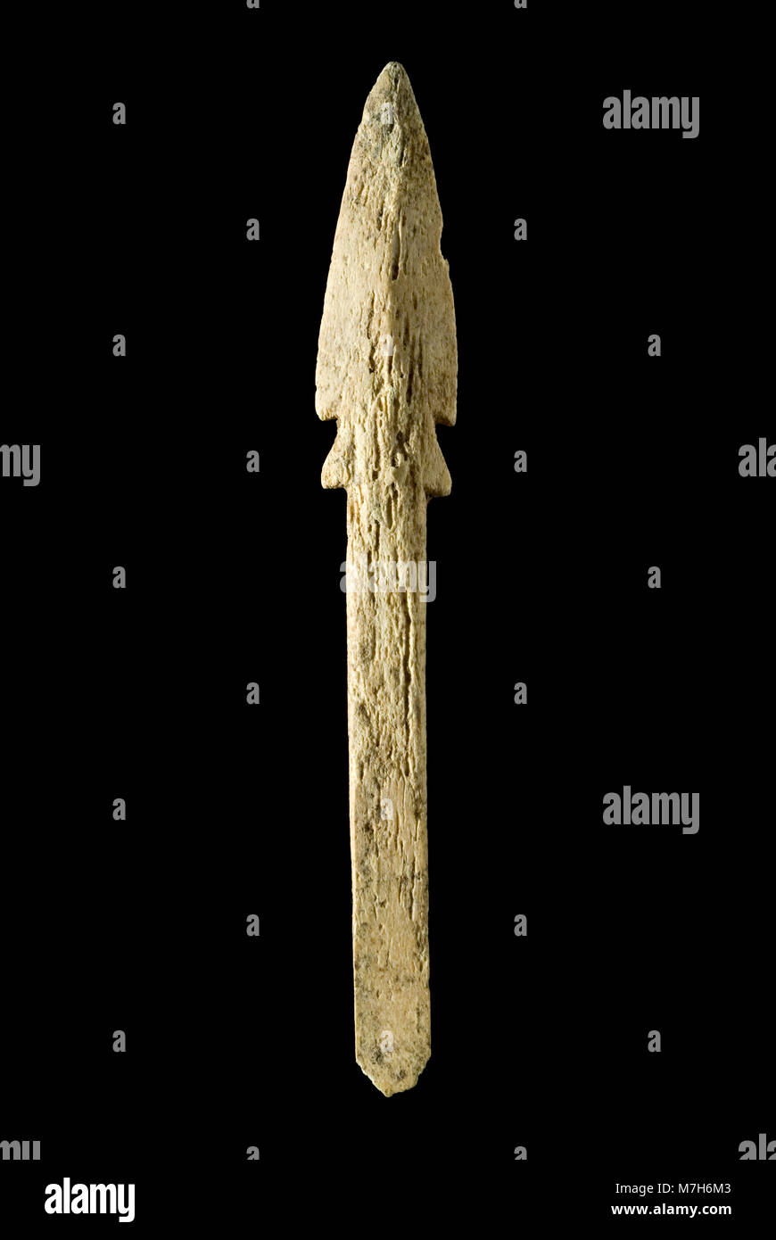 Chinese Arrowhead Stock Photo Alamy