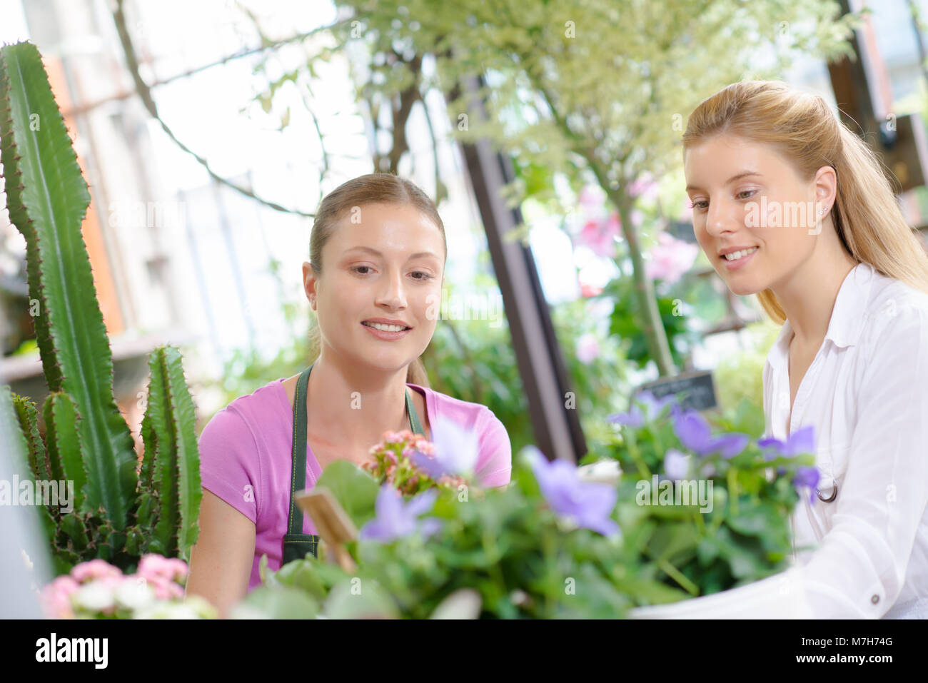 Choosing flowers together hi-res stock photography and images - Alamy