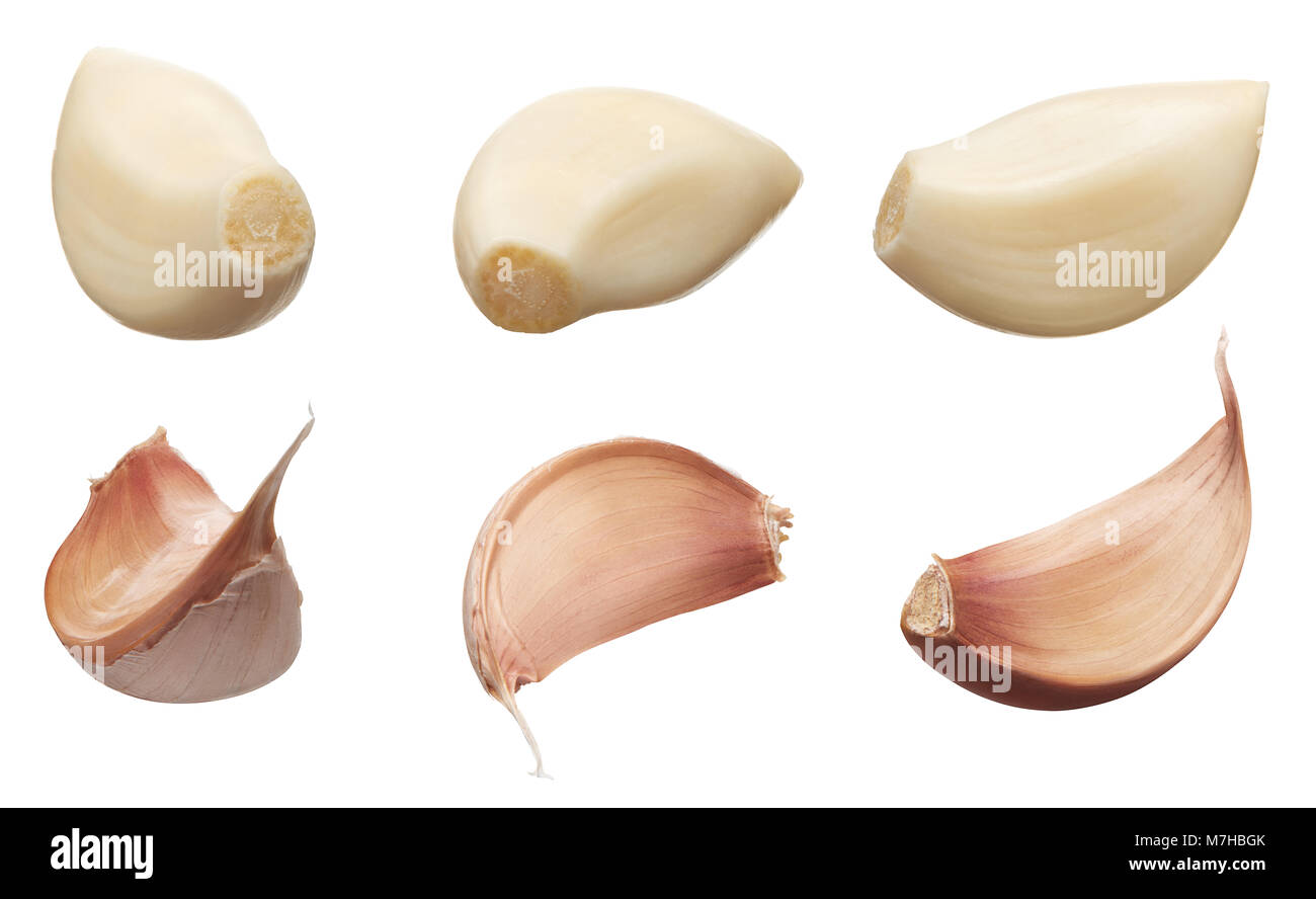 Peeled and unpeeled cloves of garlic in different angles isolated on