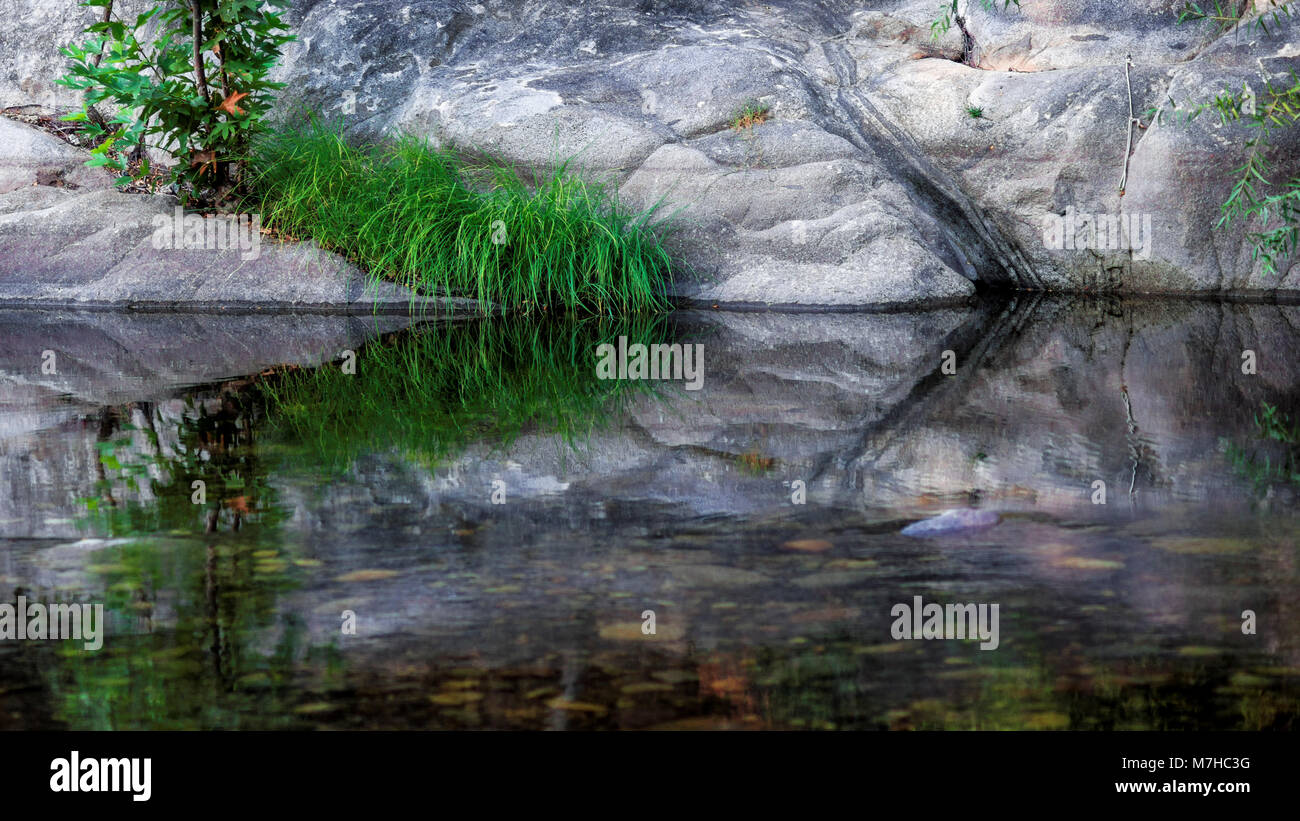Reflections on the serene Kaweah River Stock Photo