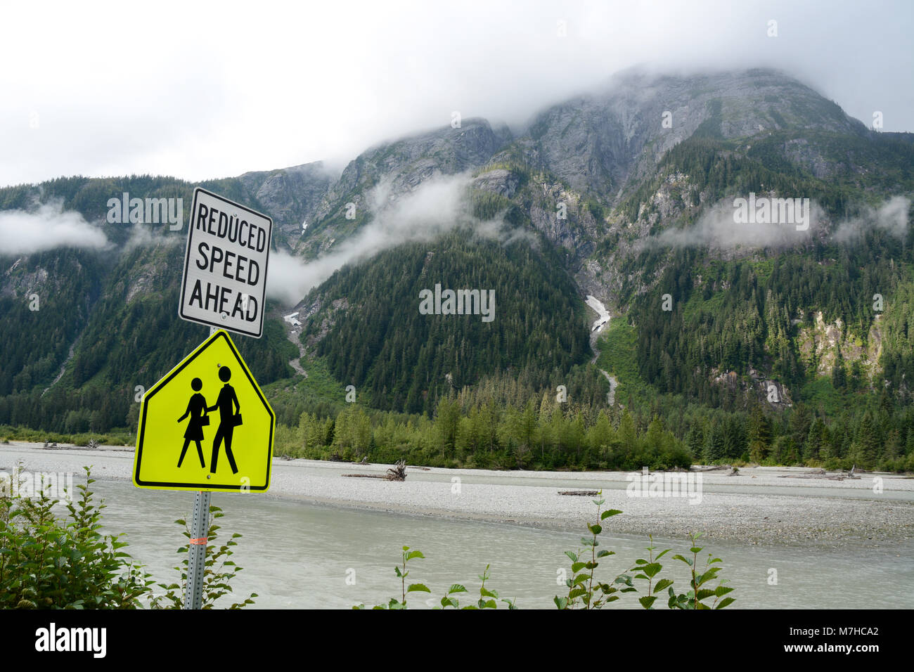 A school crossing road sign beside the Salmon River, in the Tongass