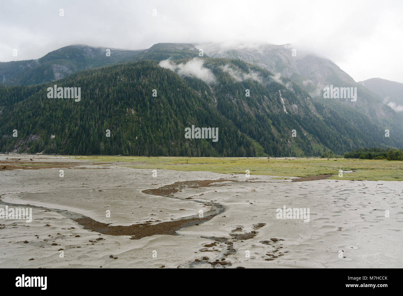 Low tide and tidal flats at the head of the Portland Canal separating Canada and the United States, at Hyder, Alaska and Stewart, British Columbia. Stock Photo