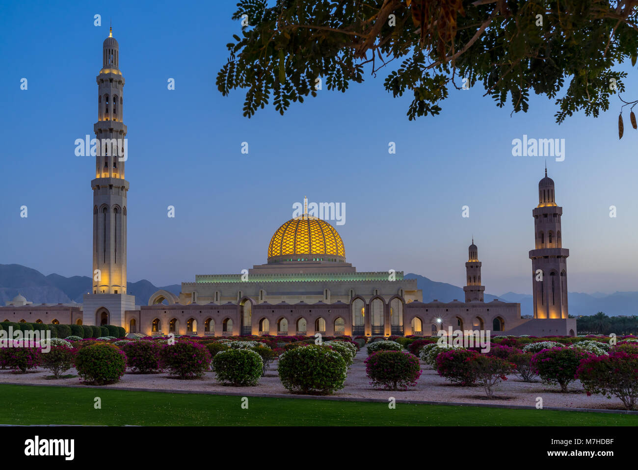 Sultan qaboos hall hi-res stock photography and images - Alamy
