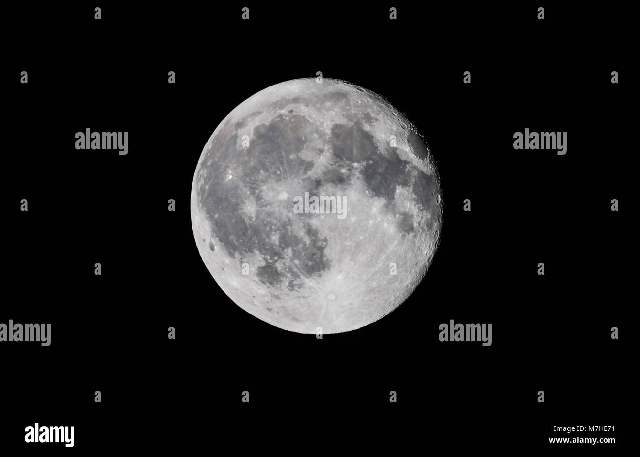 The 15-day-old moon with it high in the sky and neutral in tone. Stock Photo