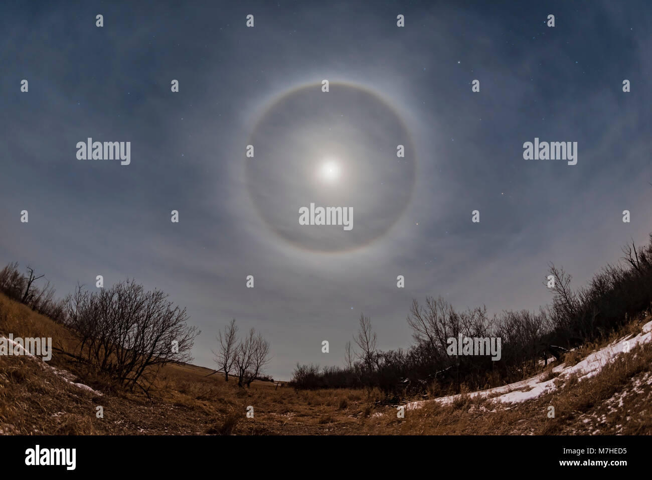 An ice crystal halo around the waxing gibbous moon. Stock Photo