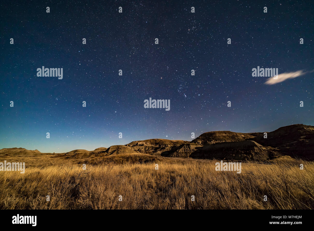 The winter stars rising over the moonlit sagebrush of Dinosaur Provincial Park, Alberta, Canada. Stock Photo