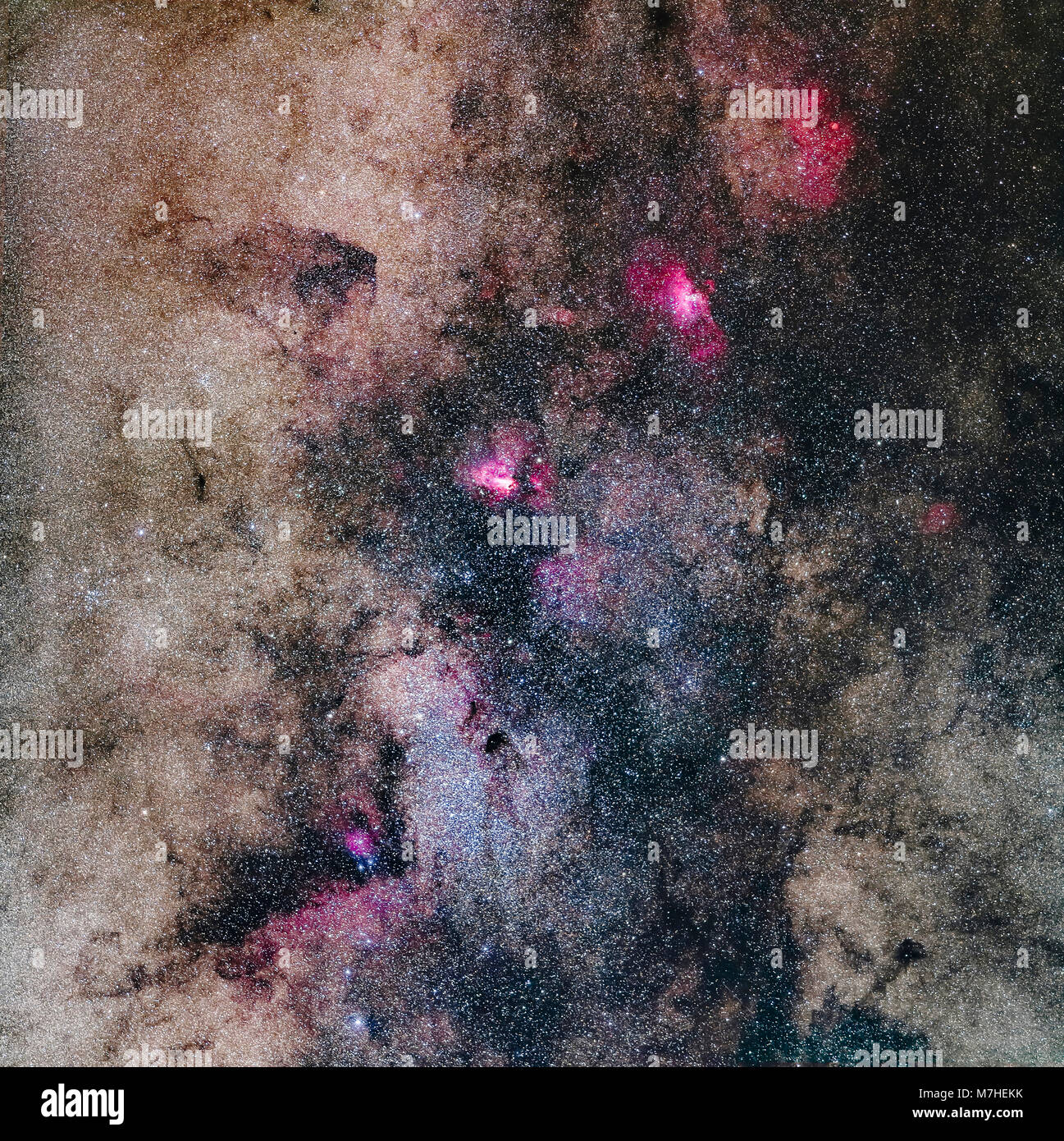 Mosaic of the rich region in Sagittarius and southern Serpens. Stock Photo