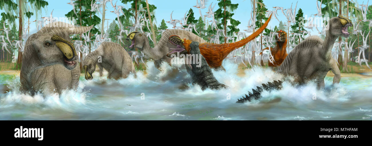 Deinosuchus prehistoric crocodilian, illustration - Stock Image - C049/0078  - Science Photo Library