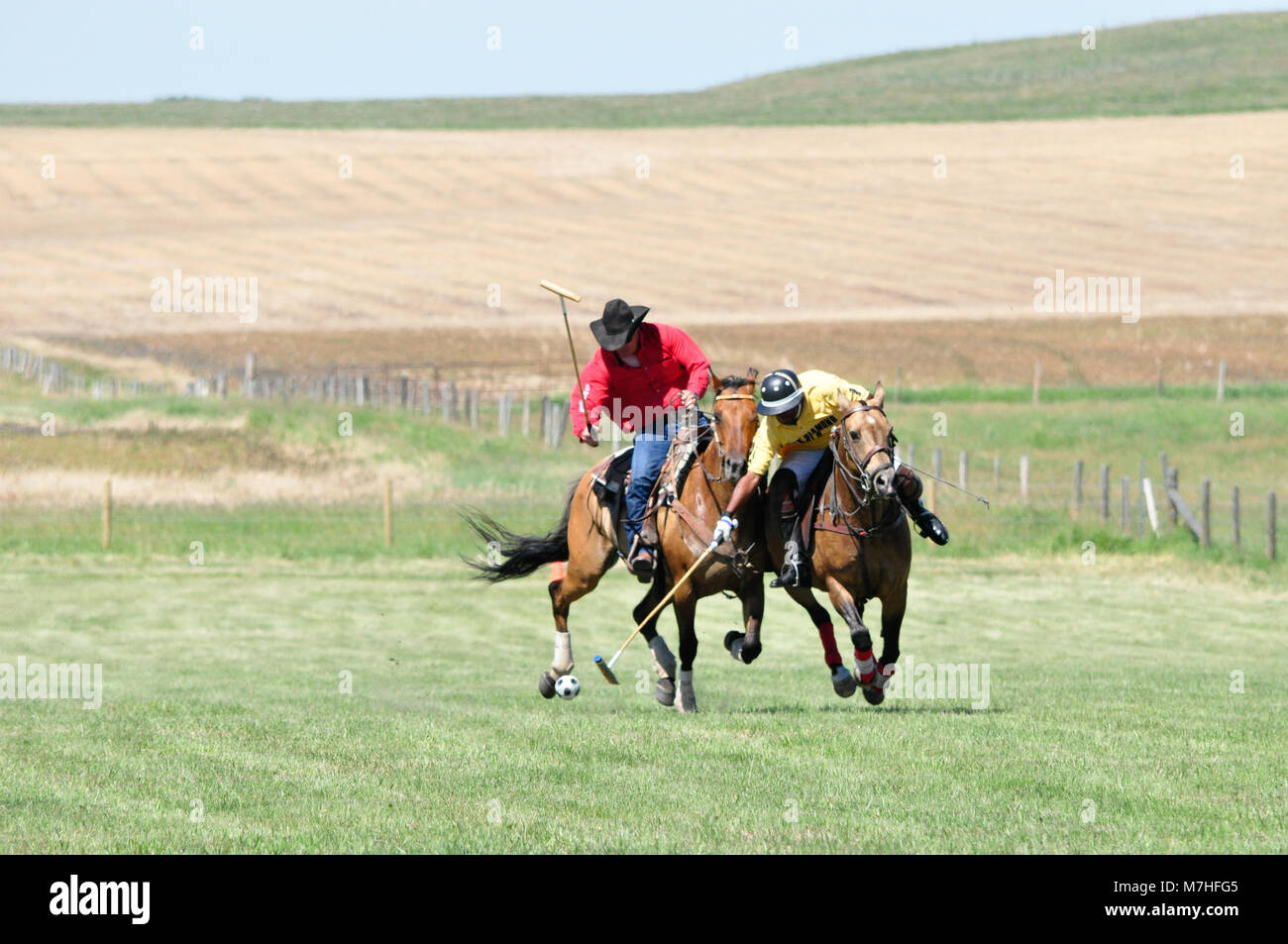 A polo player strikes a ball with a cowboy in hot pursuit during a cowboys versus polo players game at the Historic Bar U Ranch in Longview, Alberta,  Stock Photo