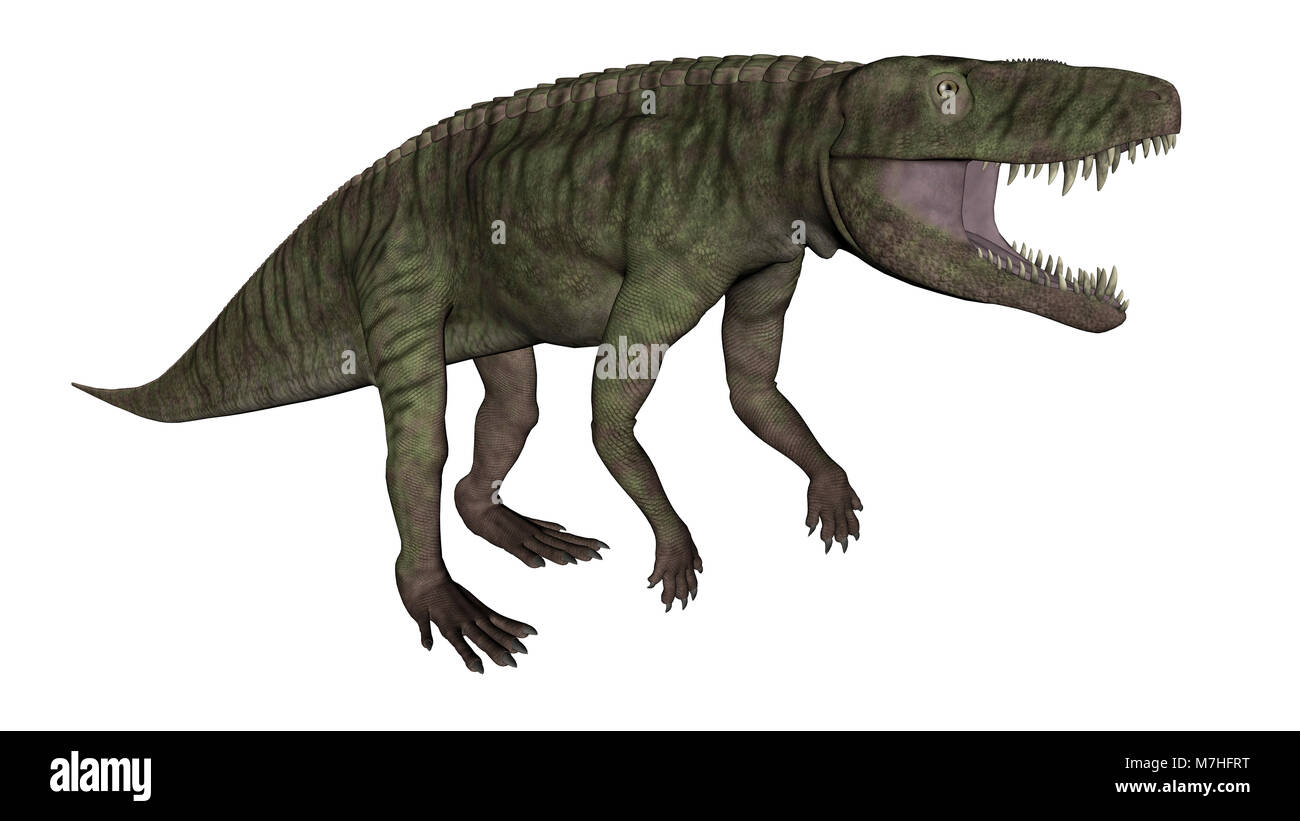 Batrachotomus dinosaur roaring, isolated on white background. Stock Photo