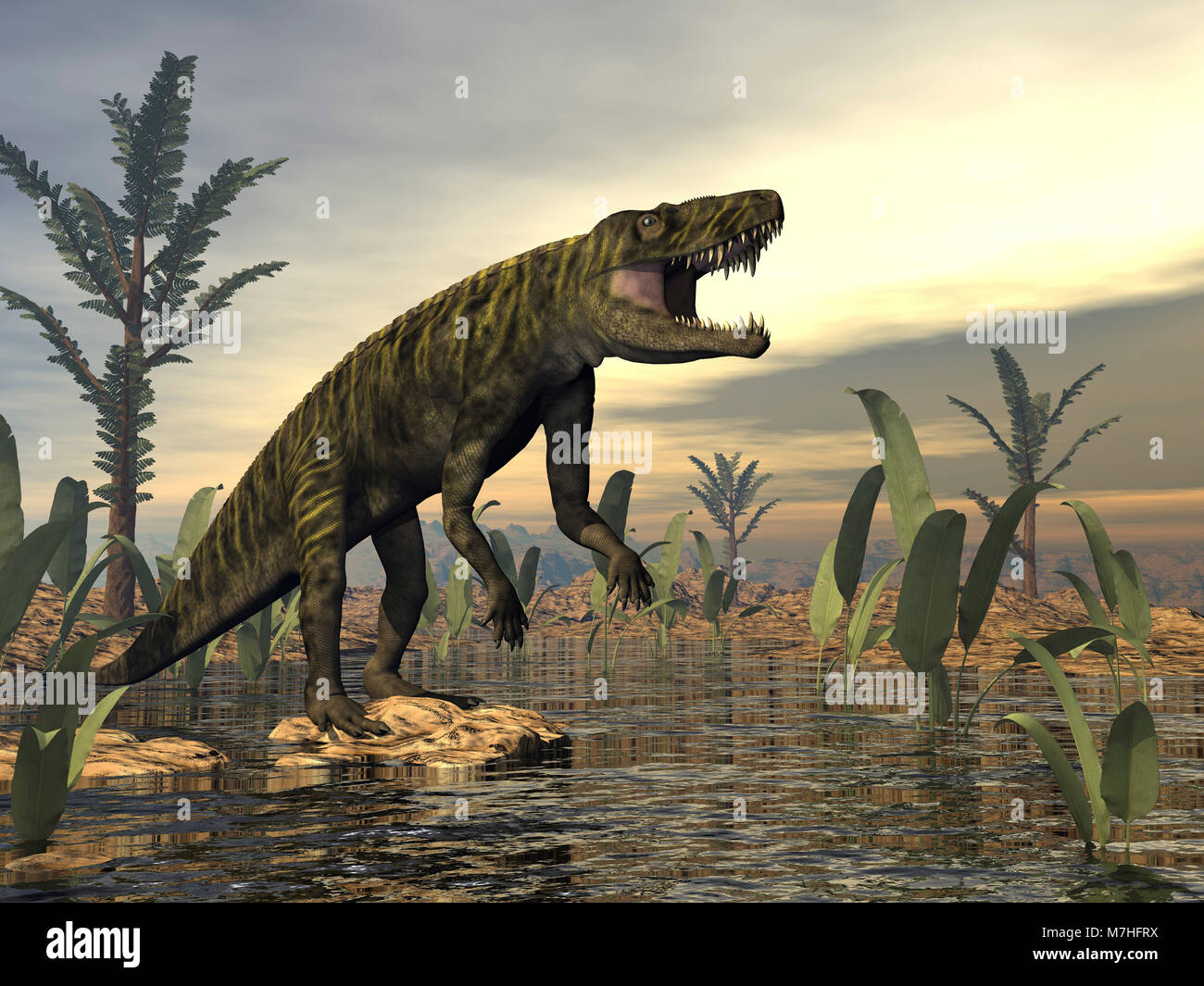 Batrachotomus dinosaur roaring by a swamp. Stock Photo