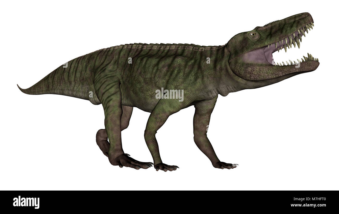 Batrachotomus dinosaur roaring. Stock Photo