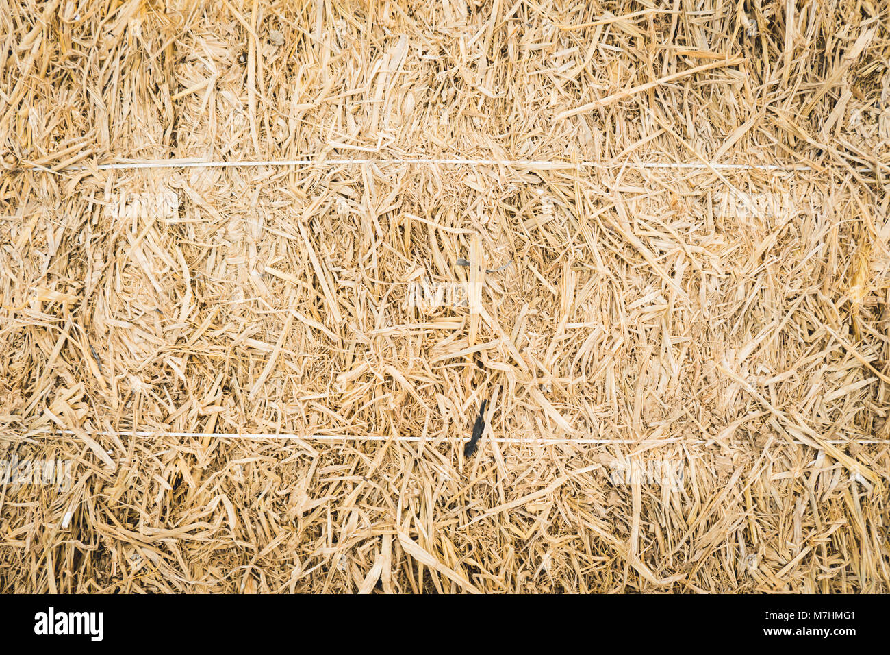 The Straw detail, close up Stock Photo Alamy