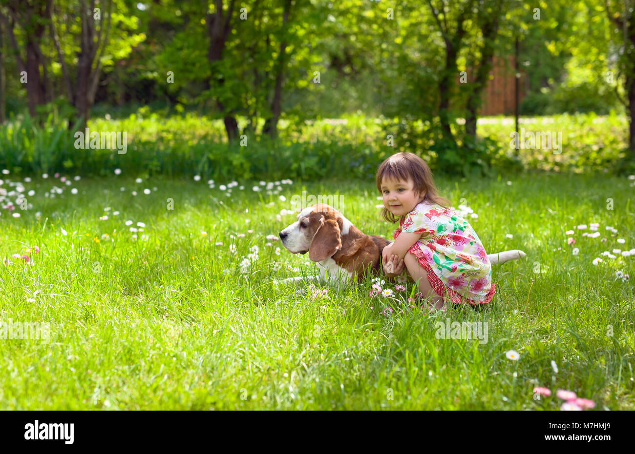 Little girl playing with dog on the lawn . Summer holidays in the ...