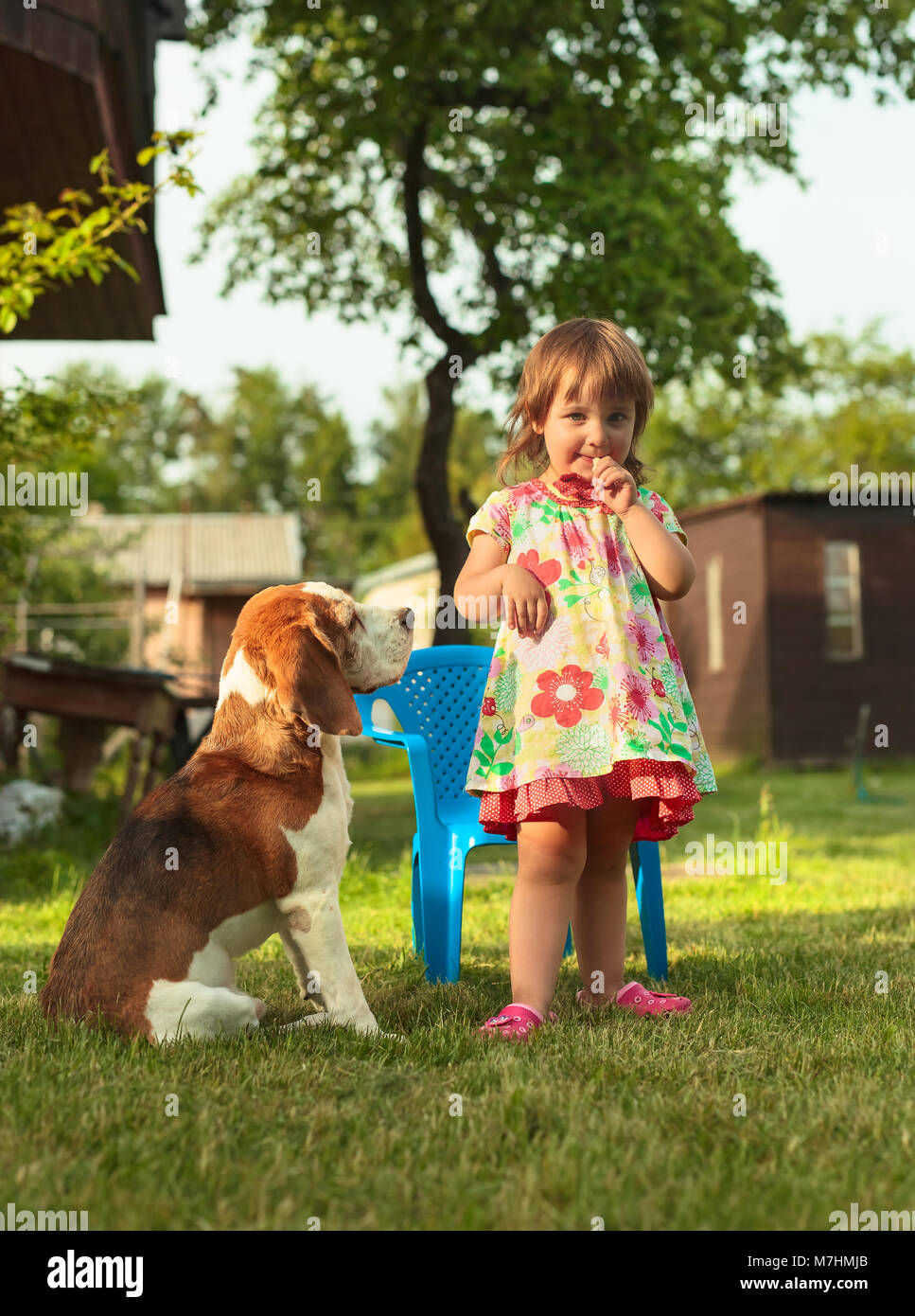 Little girl playing with dog on the lawn . Summer holidays in the ...