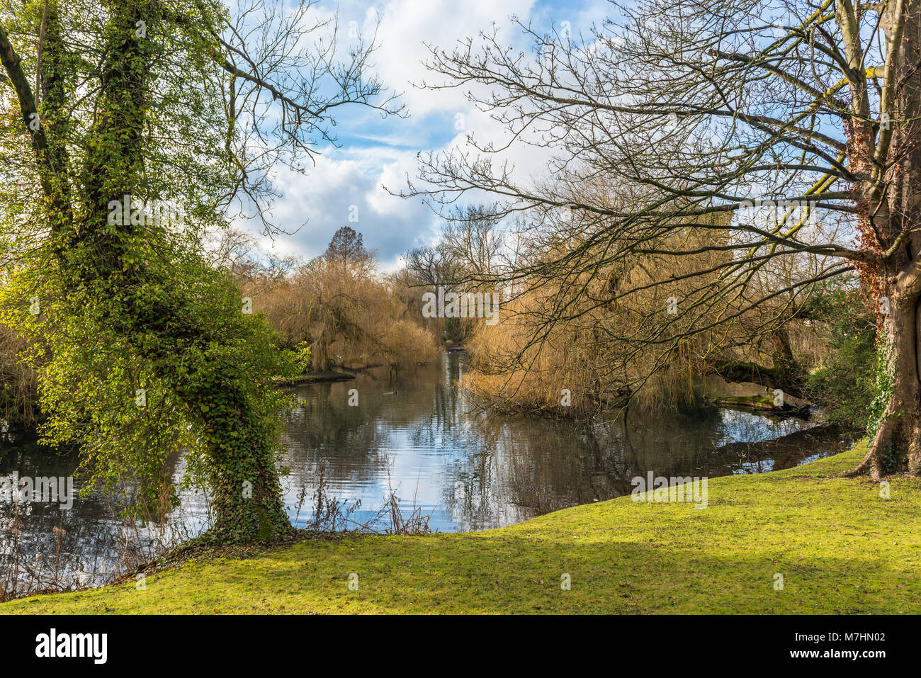 The lake in the Priory Gardens, Orpington, Kent. Source of the River Cray Stock Photo Alamy