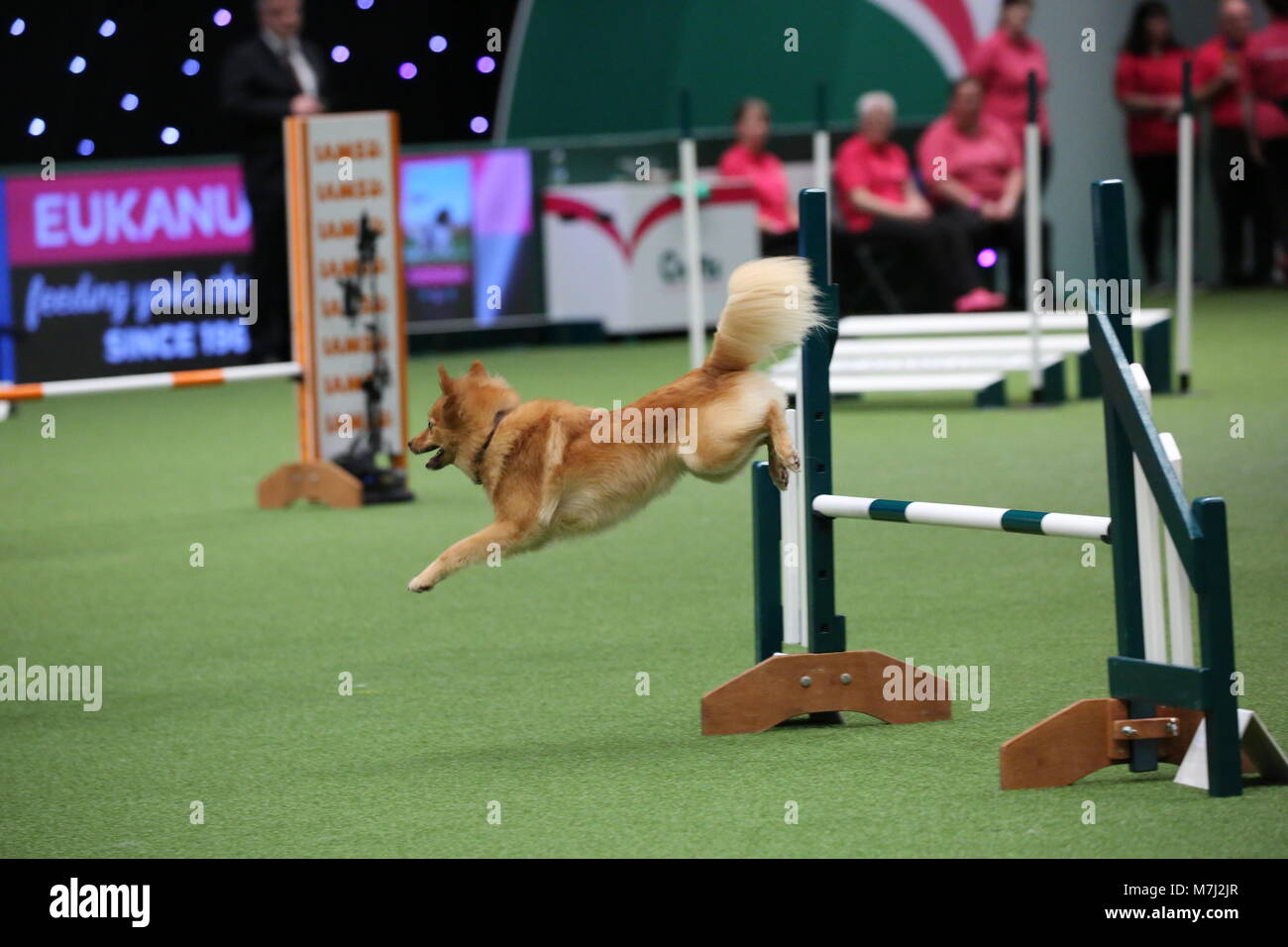 crufts agility 2018