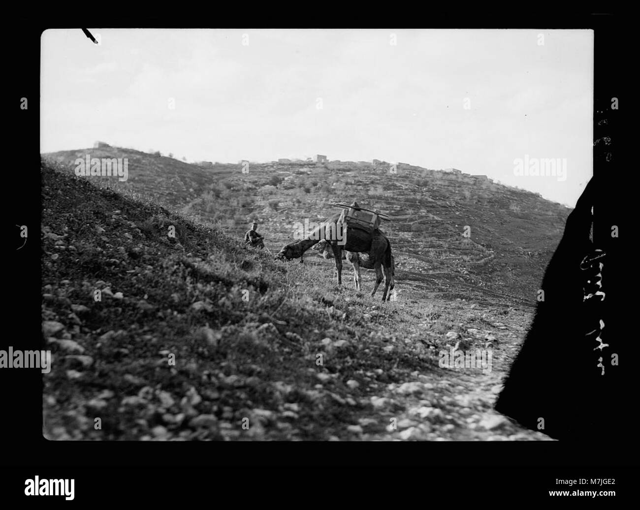 This photograph captures Beit Jala, a town in Palestine, showcasing its ...
