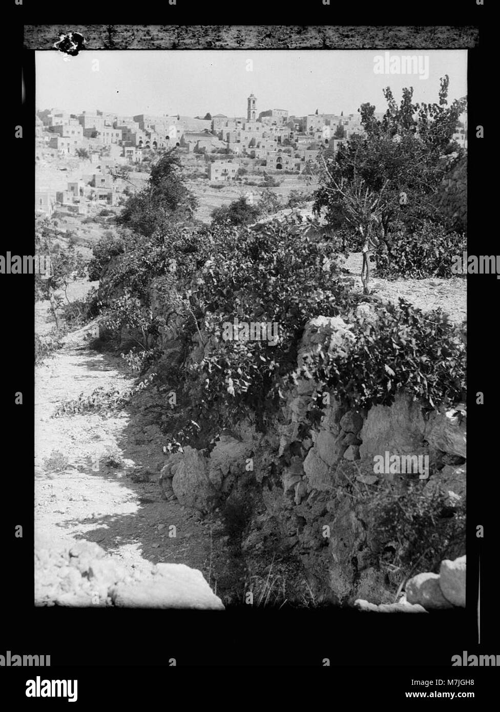 A Christmas scene in Bethlehem, depicting the Shepherd's Fields, a ...