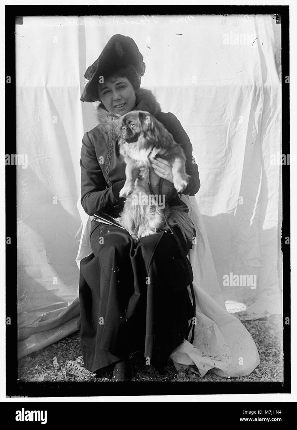 DOG SHOWS. UNIDENTIFIED WOMAN WITH ENTRY LCCN2016866524 Stock Photo