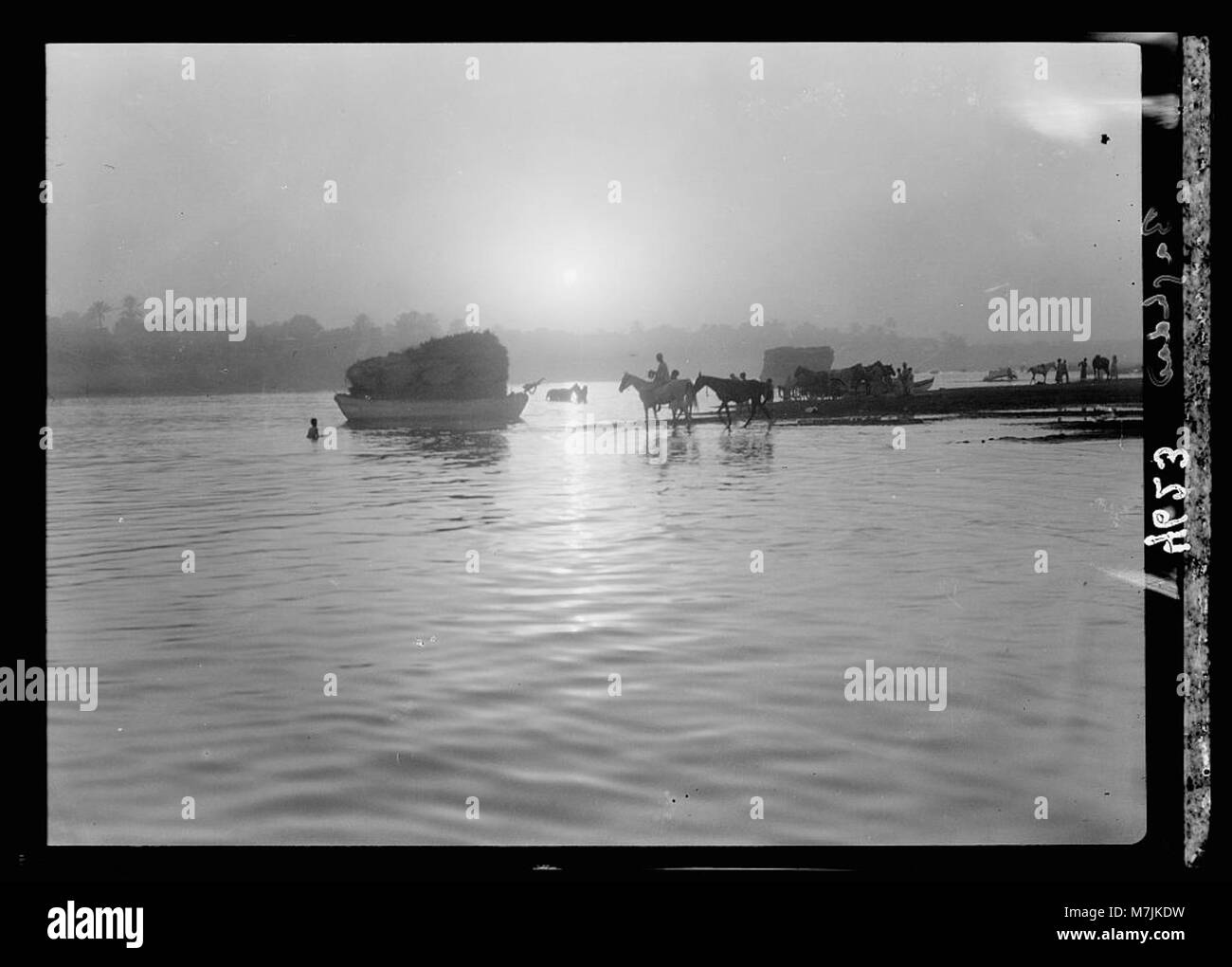 A serene sunset view over the Tigris River in Baghdad, Iraq, with horses coming down to the river for a drink, capturing the calm beauty of the Mesopotamian landscape. Stock Photo