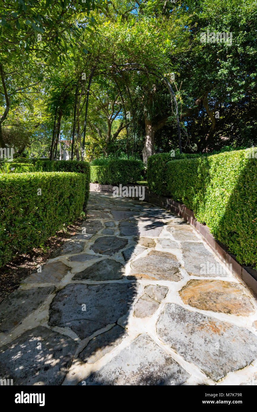 A Buxus sempervirins (common box) hedge bordering a sandstone paved path in a Sydney garden. Stock Photo