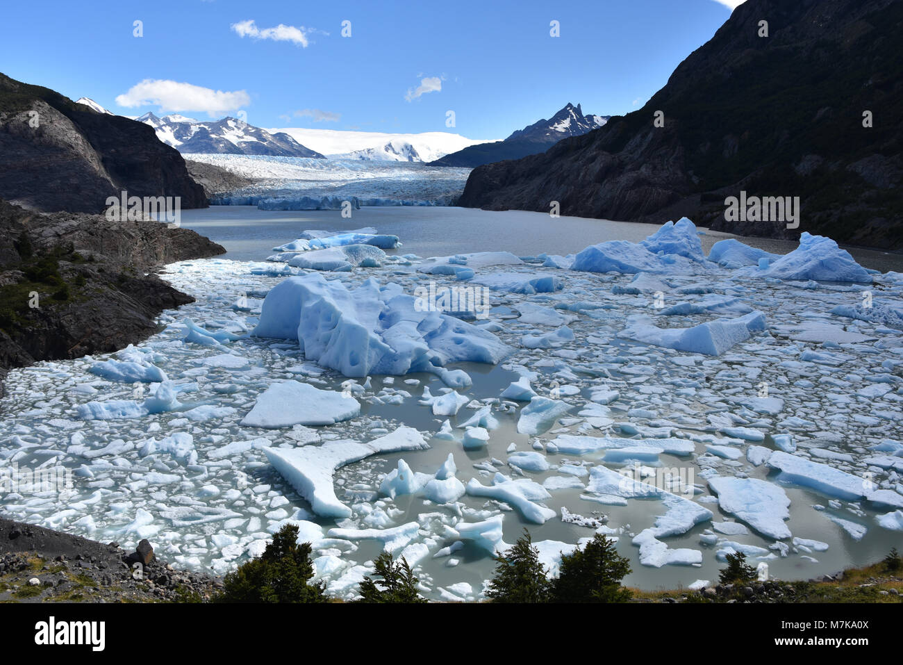 Lake Grey and the Grey Glaciar in the Southern Patagonian Ice field, Torres del Paine National Park, Chile Stock Photo