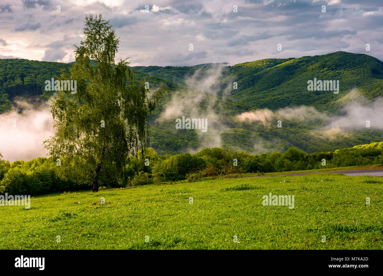 Hillside scenery hi-res stock photography and images - Alamy