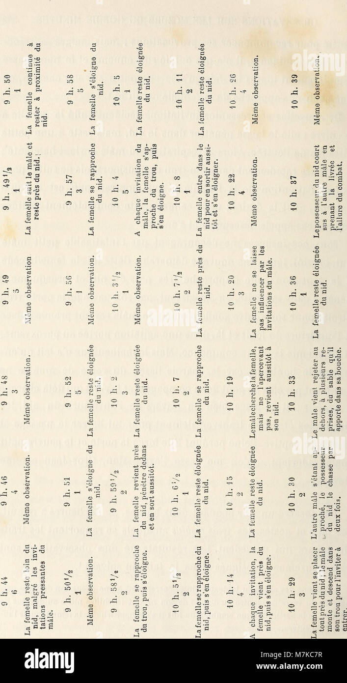 Archives de zoologie expérimentale et générale (1892) (19759415301) Stock Photo