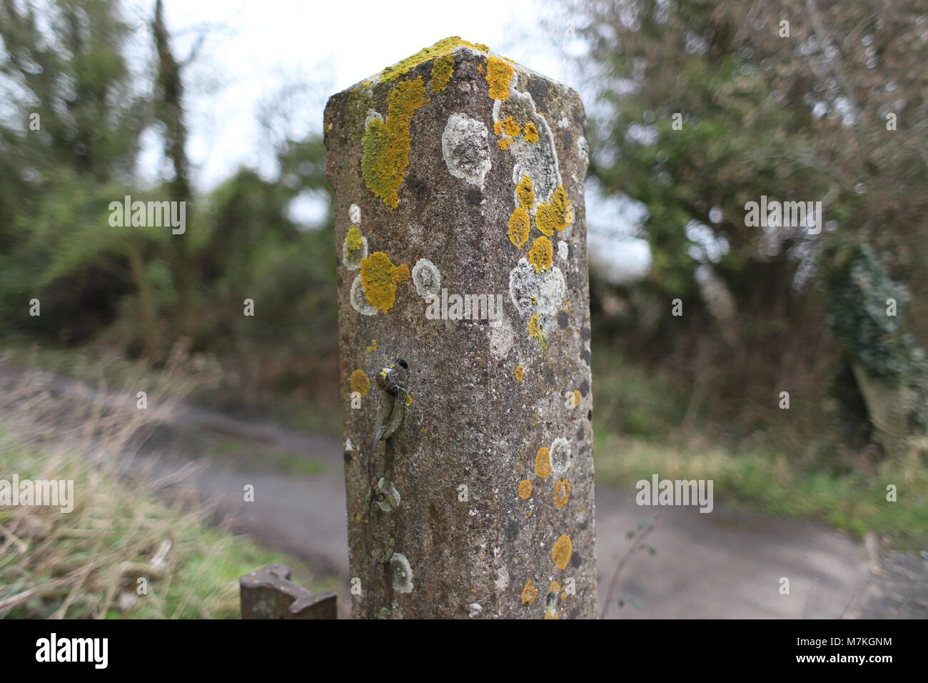 Remaining post of original level crossing at Henstridge station, part of the old Somerset and Dorset railway line lost to beeching cuts. Stock Photo