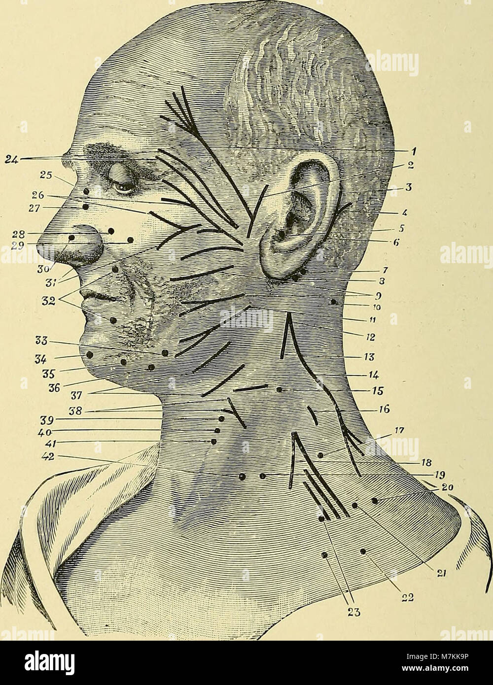 A manual of practical medical electricity the Röntgen rays and Finsen