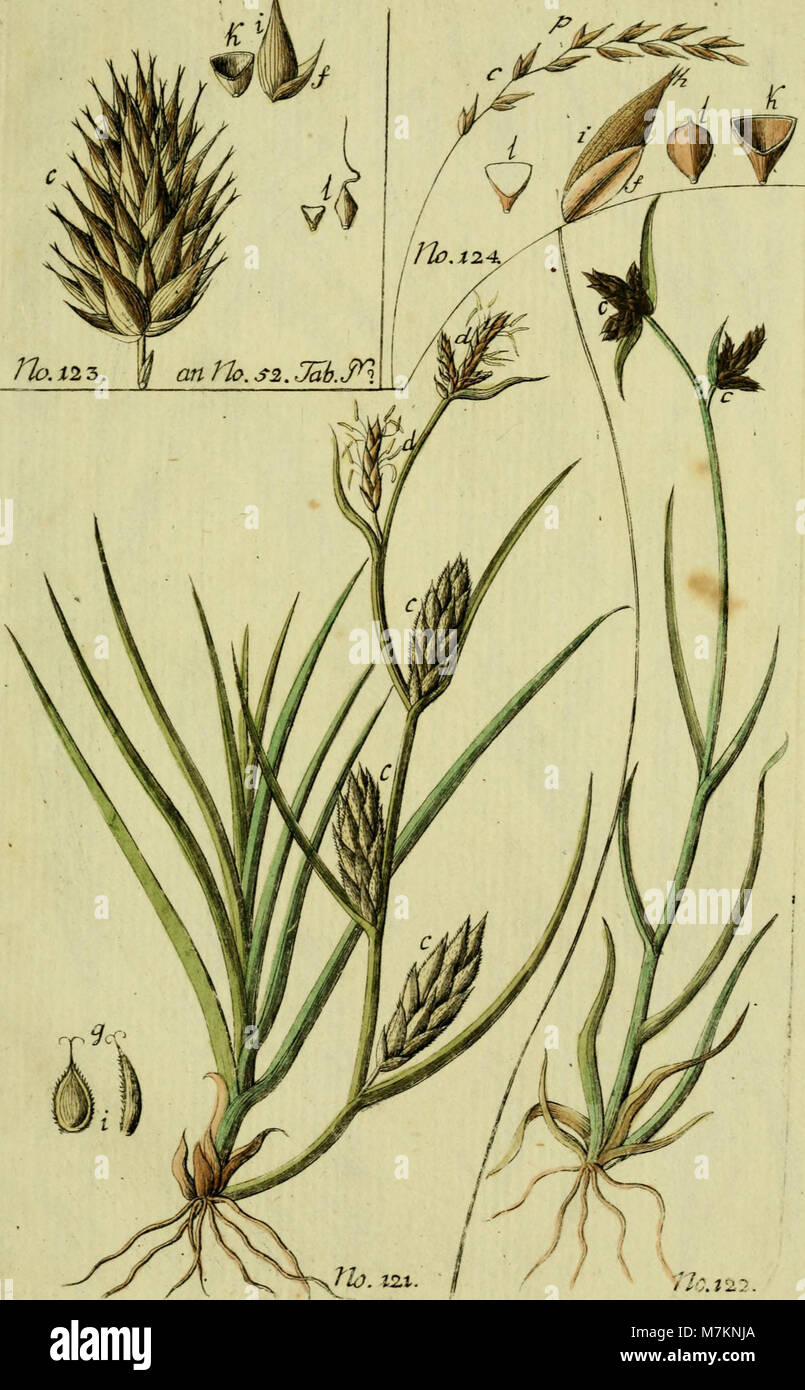 Beschreibung und Abbildung der theils bekannten, theils noch nicht