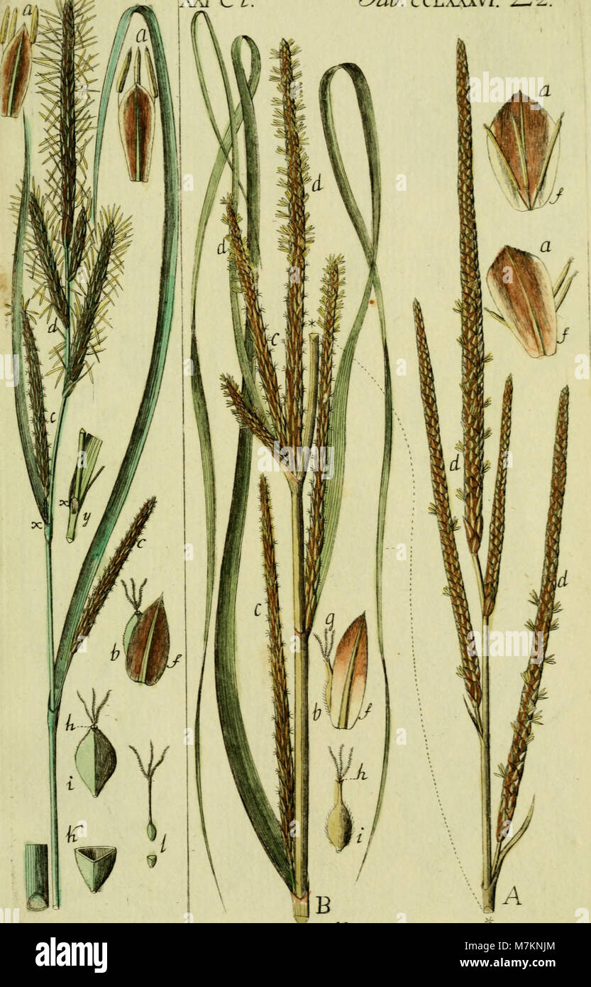 Beschreibung und Abbildung der theils bekannten, theils noch nicht