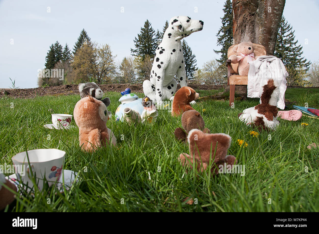 A tea party with stuffed animals Stock Photo - Alamy